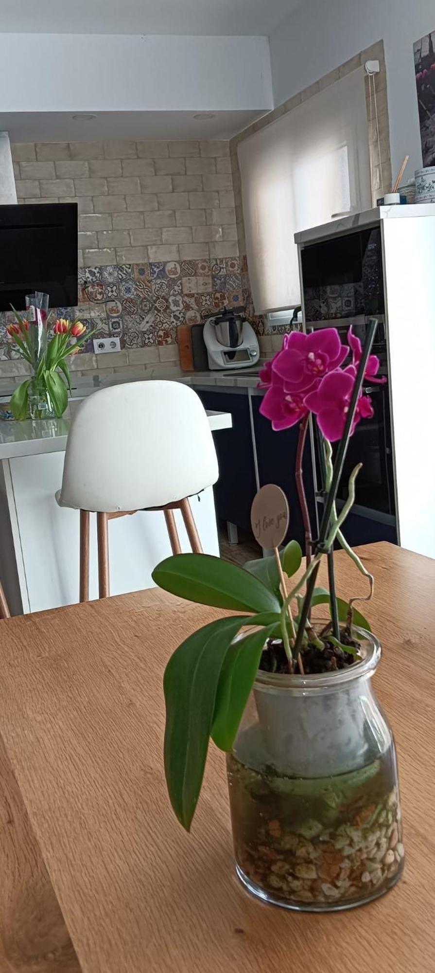 La Reserva El Jardin Tarifa Ngoại thất bức ảnh